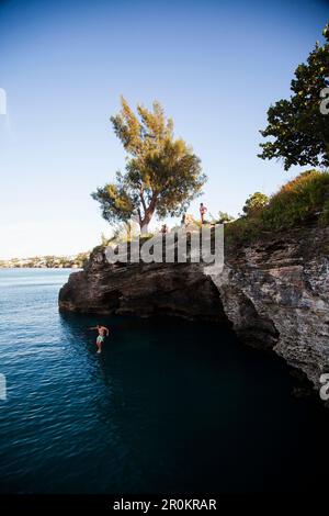 BERMUDA. Parrocchia di Hamilton. Cliff jumping, nuoto fuori da un punto nella Admiralty House Park di Hamilton. Foto Stock