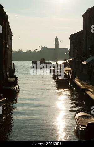 L'Italia, Venezia. Una vista di un canale, case e negozi su l'isola di Murano. Foto Stock