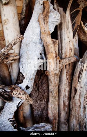 Giamaica, Oracabessa. Goldeneye Hotel e Resort. Stilll vita di driftwood. Foto Stock