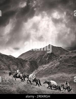 USA, Alaska, Cantwell, Horse Pack viaggio nella valle del fiume Jack alla base della catena montuosa dell'Alaska con Gunter Wamser e Sonja Endlweber Foto Stock