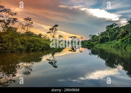 BELIZE, Punta Gorda, Toledo, alcuni dei paesaggi mozzafiato si trova intorno Belcampo Belize Lodge e Jungle Farm Foto Stock