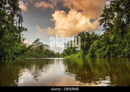 BELIZE, Punta Gorda, Toledo, alcuni dei paesaggi mozzafiato si trova intorno Belcampo Belize Lodge e Jungle Farm Foto Stock