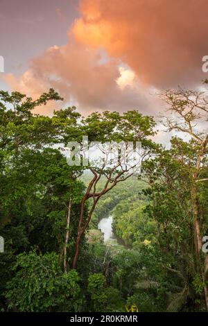 BELIZE, Punta Gorda, Toledo, alcuni dei paesaggi mozzafiato si trova intorno Belcampo Belize Lodge e Jungle Farm Foto Stock