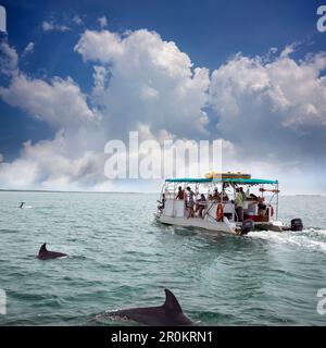 BELIZE, Punta Gorda, Toledo, gli ospiti possono andare a pesca sul loro modo al loro tour di snorkeling, tutte le guide sono locali al sud del Belize regio Foto Stock