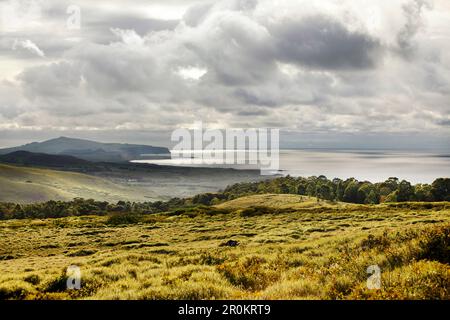 ISOLA DI PASQUA, CILE, Isla de Pascua, Rapa Nui, viste dall'escursione fino a Rano Kau, un vulcano estinto che forma il promontorio sud-occidentale dell'isola di Pasqua Foto Stock