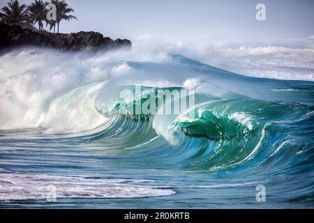 HAWAII, Oahu, North Shore, Shorebreak a Waimea Bay Foto Stock