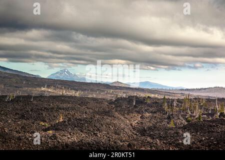 USA, Oregon, Oregon Cascades, veduta del Monte Jefferson dalla cima dell'Osservatorio Dee Wright nel mezzo di un vecchio flusso di lava in cima alla M Foto Stock