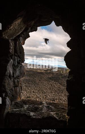 USA, Oregon, Oregon Cascades, veduta del Monte Jefferson dalla cima dell'Osservatorio Dee Wright nel mezzo di un vecchio flusso di lava in cima alla M Foto Stock