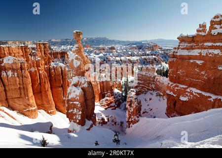 USA, Utah, Bryce Canyon City, Bryce Canyon National Park, Hoodoos innevati lungo il Navajo Loop Trail, una formazione chiamata Thors Hammer Foto Stock