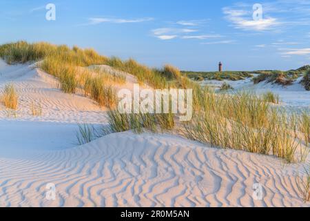 Faro nelle dune dell'isola della Frisia Orientale Norderney, Mare del Nord, bassa Sassonia, Germania del Nord, Germania, Europa Foto Stock