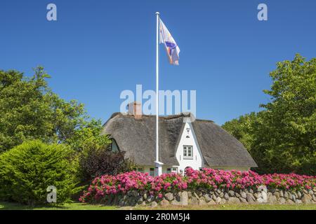 Casa di paglia a Morsum, Isola Frisone Settentrionale Sylt, Costa del Mare del Nord, Schleswig-Holstein, Germania Settentrionale, Germania, Europa Foto Stock