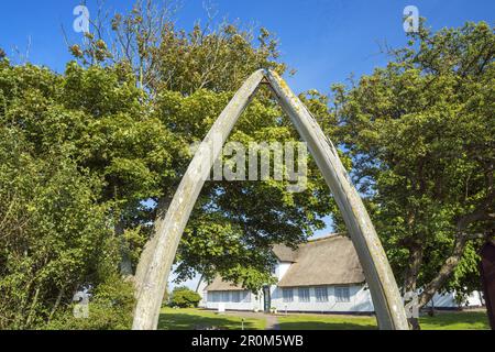 Museo di storia locale a Keitum, North Frisian Island Sylt, North Sea Coast, Schleswig-Holstein, Germania settentrionale, Germania, Europa Foto Stock