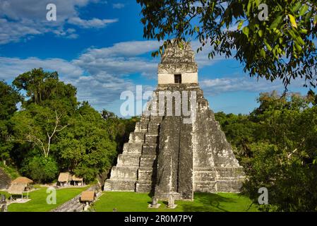 Tikal Nationalpark: Cultura Maya in Guatemala America Centrale Foto Stock