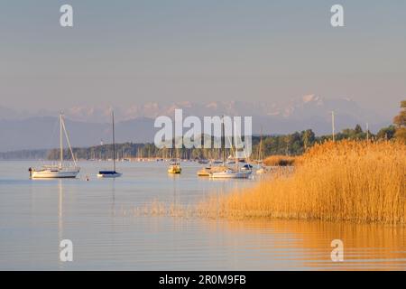 Barche sul Ammersee, Schondorf am Ammersee, Fünfseenland, alta Baviera, Baviera, Germania Foto Stock