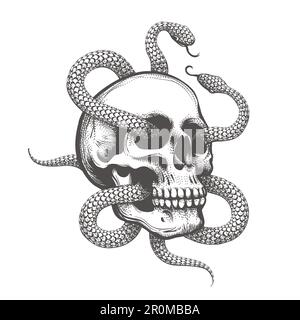 Tatuaggio monocromatico di cranio umano con due serpenti isolati su bianco. Illustrazione vettoriale Illustrazione Vettoriale