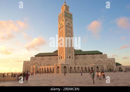 Hassan II Moschea al tramonto con nuvole e cielo blu, Casablanca, Marocco Foto Stock