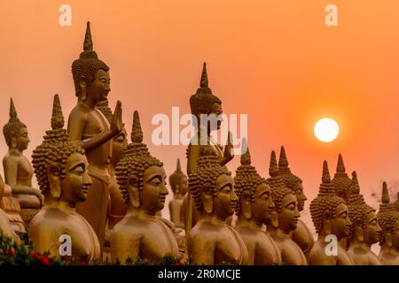 Il Buddha d'oro di Wat Phu Salao, Pakse, Laos Foto Stock