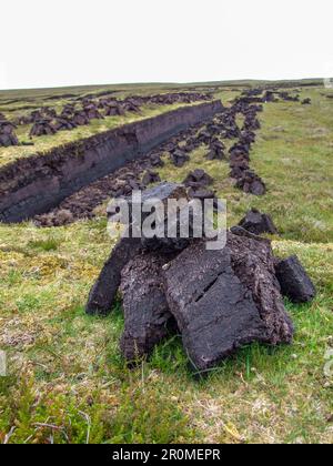 Le Banche della torba sono state tagliate per il combustibile di inverno in Scozia di Shetland Foto Stock
