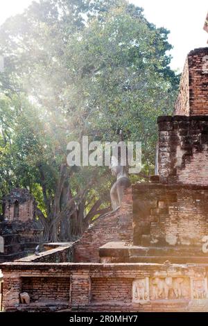 Luce sulla statua del Buddha nel Parco storico di Sukhothai nel tempio Wat Mahathat, antica città reale, Sukhothai, Thailandia antica città reale, Suk Foto Stock