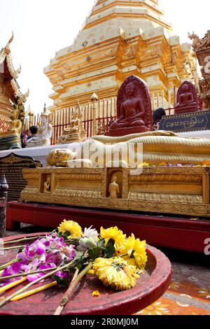 Offerte e statue di Buddha nel tempio buddista dorato. Wat Prah That Doi Suthep, Chiang mai, Thailandia Foto Stock
