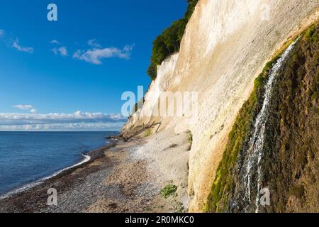 Piccola cascata sul Kieler Ufer, scogliere di gesso, Parco Nazionale di Jasmund, Rügen, Mar Baltico, Meclemburgo-Pomerania anteriore, Germania Foto Stock