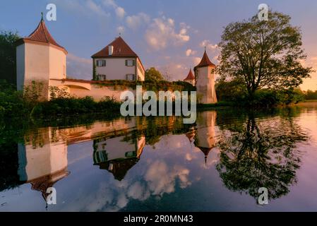 Cigni sul Schlossteig di fronte al castello di Blutenburg. Monaco ovest, distretto Obermenzing, Monaco, Baviera, Germania, Europa Foto Stock