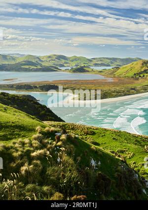 Spiaggia Di Allans Da Sandymount Recreation Reserve, Otago, South Island, Nuova Zelanda, Oceania Foto Stock