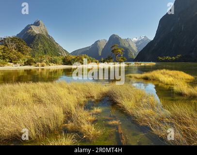 Milford Sound, Mitre Peak, Fiordland National Park, Southland, South Island, Nuova Zelanda, Oceania Foto Stock