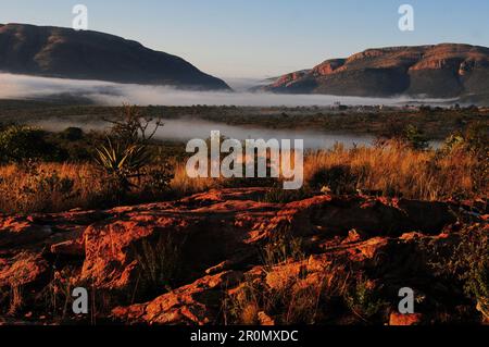 Una coperta di nebbia si tuffa nel villaggio di GA-Maja nella provincia di Limpopo in Sud Africa in una fredda mattinata invernale Foto Stock