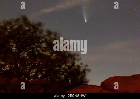 Foto della cometa Neoswise ripresa dal vertice di Feldberg in Germania il 23. 2020 luglio dopo il tramonto Foto Stock