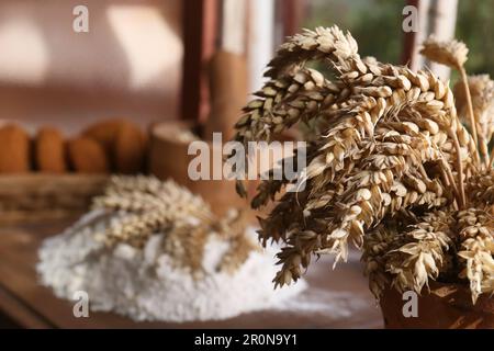 Punte di grano contro fondo sfocato all'interno, primo piano. Spazio per il testo Foto Stock