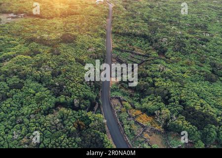 Umore serale sull'isola di Pico, Pico, Azzorre, Portogallo, Atlantico, Oceano Atlantico, Europa, Foto Stock