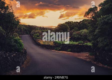 Umore serale sull'isola di Pico, Azzorre, Portogallo, Oceano Atlantico, Oceano Atlantico, Europa, Foto Stock