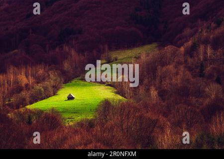 Il cottage nei prati circondato da alberi, Cindrel montagne, Romania Foto Stock