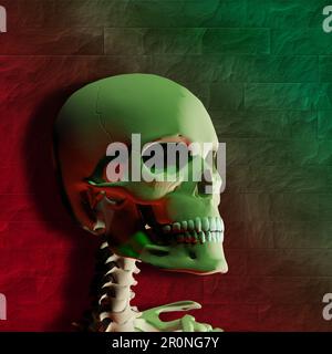 illustrazione del cranio umano Foto Stock