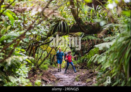 Trekking sull'isola tropicale di Reunion nell'Oceano Indiano, che fa parte della Francia Foto Stock