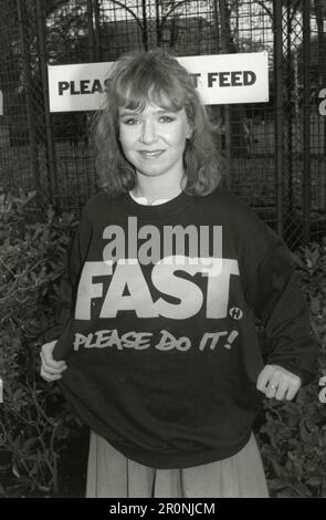 Attrice inglese, produttore televisivo e regista Susan Tully, UK 1980s Foto Stock