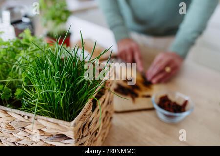 Primo piano dell'uomo anziano che taglia i pomodori secchi. Foto Stock