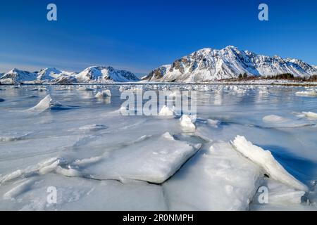 Il ghiaccio galleggia sul mare di fronte alle montagne innevate, Lofoten, Nordland, Norvegia Foto Stock