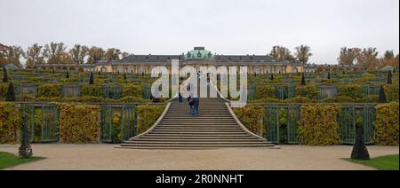 Sanssouci, Potsdam, Germania: Palazzo Sanssouci in cima a un vigneto terrazzato a Potsdam. Foto Stock