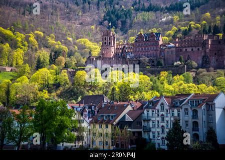 Heidelberg Castello sulla collina, Heidelberg, Germania Foto Stock