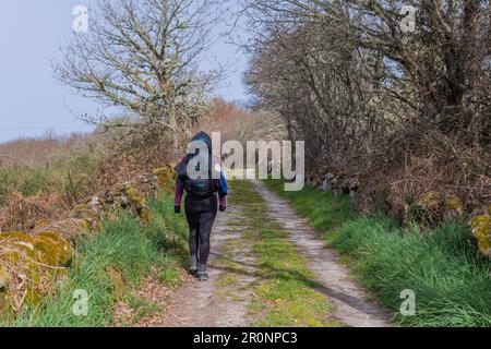 Navarra, Spagna, 04 dicembre, 2022: Passeggiata pellegrina lungo il Camino De Santiago, la Via San Itinerario di pellegrinaggio di James, Navarra, Spagna. Foto Stock