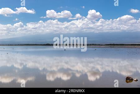 Bel cielo estivo riflesso sul lago di Amboseli, con fenicotteri all'orizzonte. Panorama del Parco Nazionale di Amboseli, Kenya. Foto Stock