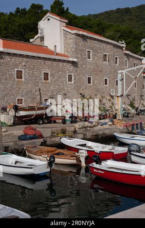 Una collezione di barche è ormeggiata contro un molo vicino ad una struttura sul lungomare Foto Stock