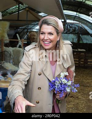 Texel, Niederlande. 09th maggio, 2023. Re Willem-Alexander e Regina Maxima dei Paesi Bassi a Texel, il 09 maggio 2023, per una visita regionale al Waddeneilanden Credit: Albert Nieboer/Netherlands OUT/Point de Vue OUT/dpa/Alamy Live News Foto Stock