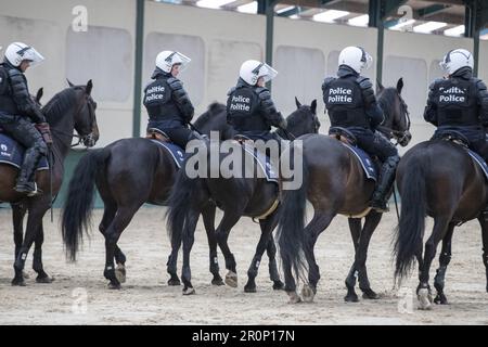 Rebecq, Belgio. 09th maggio, 2023. La figura mostra la Royal Escort belga martedì 09 maggio 2023 a Rebecq. L'Escort reale belga è un'unità a cavallo della polizia federale che accompagna il re da quasi 85 anni durante varie cerimonie ufficiali e le visite ufficiali dei capi di stato stranieri. FOTO DI BELGA NICOLAS MAETERLINCK Credit: Belga News Agency/Alamy Live News Foto Stock