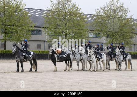 Rebecq, Belgio. 09th maggio, 2023. La figura mostra la Royal Escort belga martedì 09 maggio 2023 a Rebecq. L'Escort reale belga è un'unità a cavallo della polizia federale che accompagna il re da quasi 85 anni durante varie cerimonie ufficiali e le visite ufficiali dei capi di stato stranieri. FOTO DI BELGA NICOLAS MAETERLINCK Credit: Belga News Agency/Alamy Live News Foto Stock