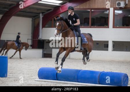 Rebecq, Belgio. 09th maggio, 2023. La figura mostra la Royal Escort belga martedì 09 maggio 2023 a Rebecq. L'Escort reale belga è un'unità a cavallo della polizia federale che accompagna il re da quasi 85 anni durante varie cerimonie ufficiali e le visite ufficiali dei capi di stato stranieri. FOTO DI BELGA NICOLAS MAETERLINCK Credit: Belga News Agency/Alamy Live News Foto Stock