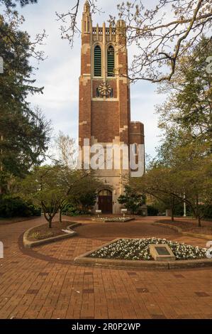 Beaumont Tower nel campus della Michigan state University a East Lansing Foto Stock