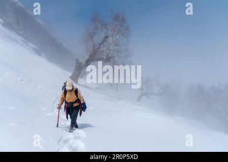 Un escursionista cammina su una montagna coperta di neve ad un'altitudine di 3470 m lungo il tragitto per il lago Sorus nel Kashmir Sud. L'incantevole lago di Sorus si trova ad un'altezza di circa 3.750 metri che continua ad affascinare i visitatori soprattutto durante la stagione primaverile, quando l'incantevole lago è circondato dalla vista di maestose montagne innevate. Nella regione montuosa del Kashmir, il trekking è una popolare attività all'aperto che prevede escursioni o passeggiate attraverso terreni accidentati, spesso per un periodo prolungato. È un modo eccellente per vivere la natura, sfidarsi fisicamente e me Foto Stock